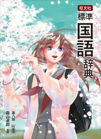 「旺文社 標準国語辞典 第八版特装版」の辞典ケース。 ※デザインはイメージ。