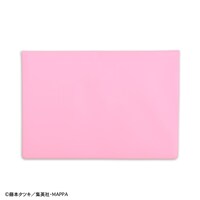 エンベロープケース（早川家）