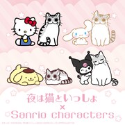 「夜は猫といっしょ」とサンリオキャラクターズのコラボビジュアル。