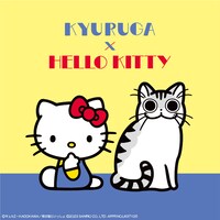 「夜は猫といっしょ」とハローキティのコラボペアビジュアル。