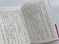 中面のイメージ。