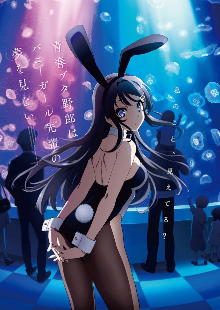 「青春ブタ野郎はバニーガール先輩の夢を見ない」キービジュアル (c)2018 鴨志田 一／ＫＡＤＯＫＡＷＡ アスキー・メディアワークス／青ブタ Project