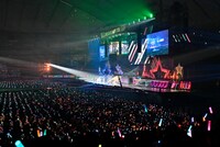 「シャイノグラフィ」