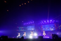 「咲くは浮世の君花火」