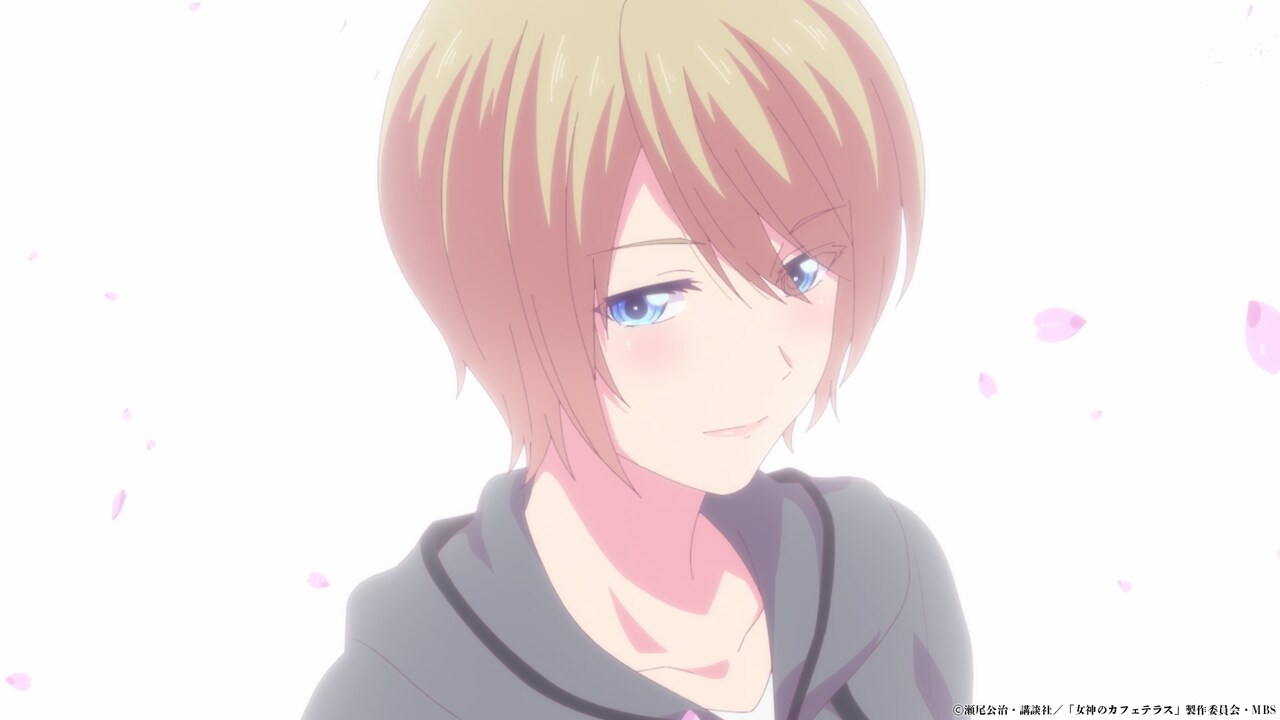 女神のカフェテラス 全20巻+紅葉本 女神のカフェテラス公式@最新