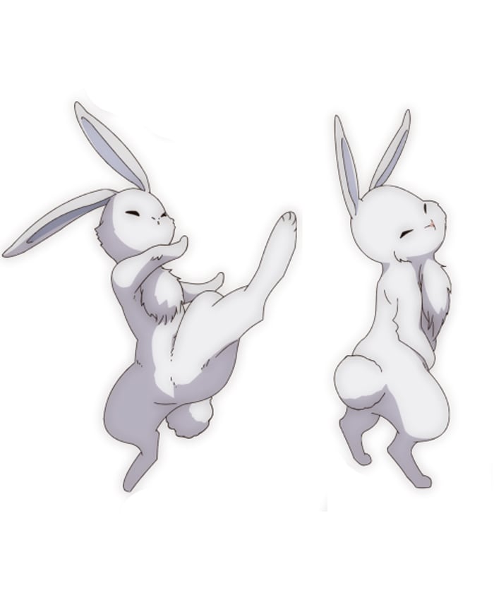 usagi.jpg?impolicy=lt&imwidth=