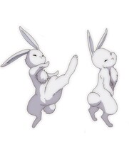 ウサギ（CV：井上和彦）。規格外な戦闘力を誇る、世界を守護する聖の称号を冠している“神獣”。この世界を滅ぼさんとする「邪」 の脅威に対抗すべく「聖」の称号を継承する弟子を探している。