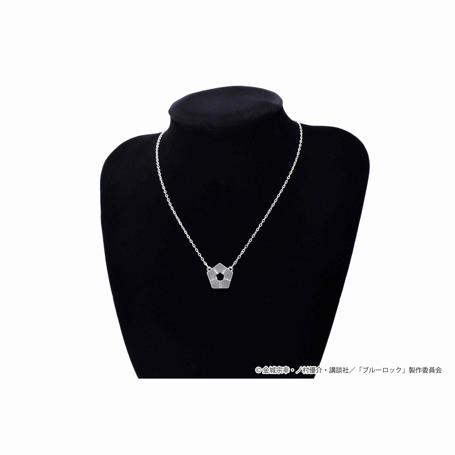 「青い監獄モデル」