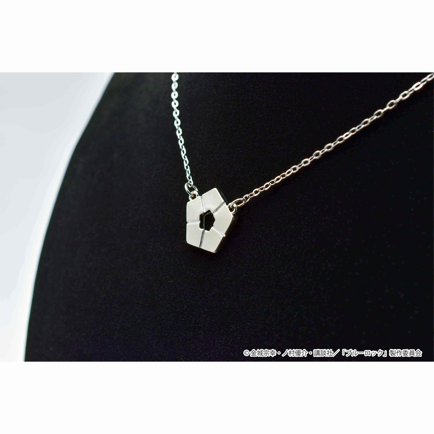 「青い監獄モデル」