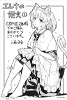COMIC ZIN特典