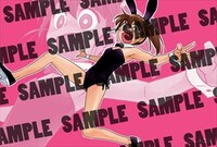 COMIC ZIN特典のサンプル。