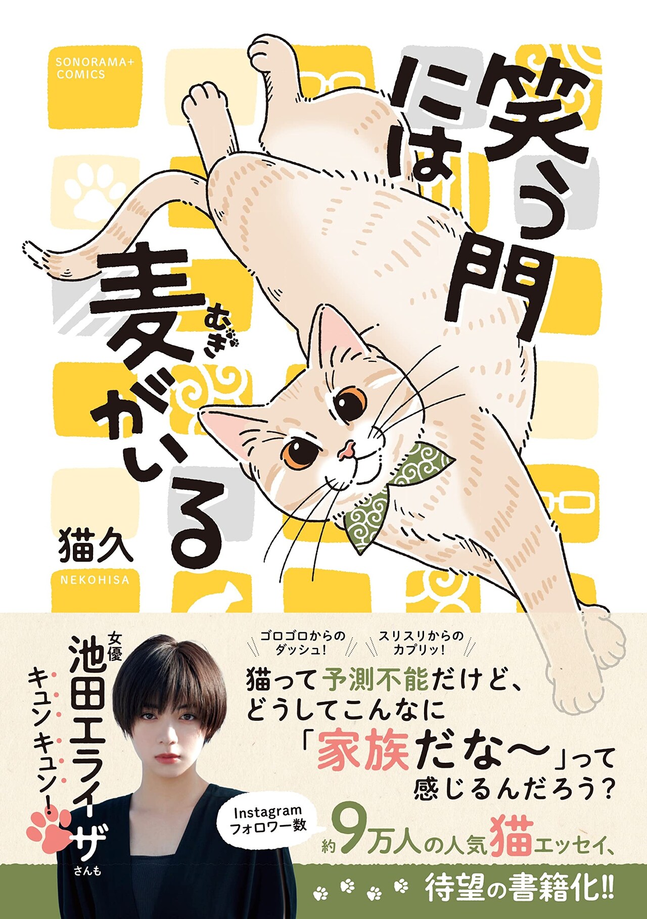 里親募集で出会った茶トラ猫・麦との日常を描いた猫エッセイ単行本