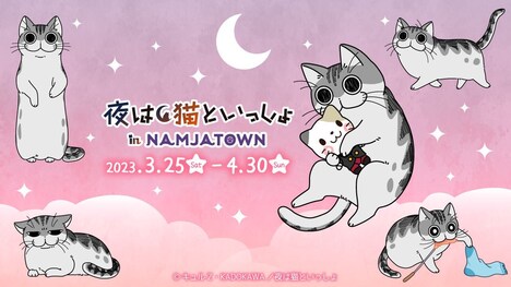 「夜は猫といっしょ in NAMJATOWN」ビジュアル (c)キュルZ・KADOKAWA/夜は猫といっしょ