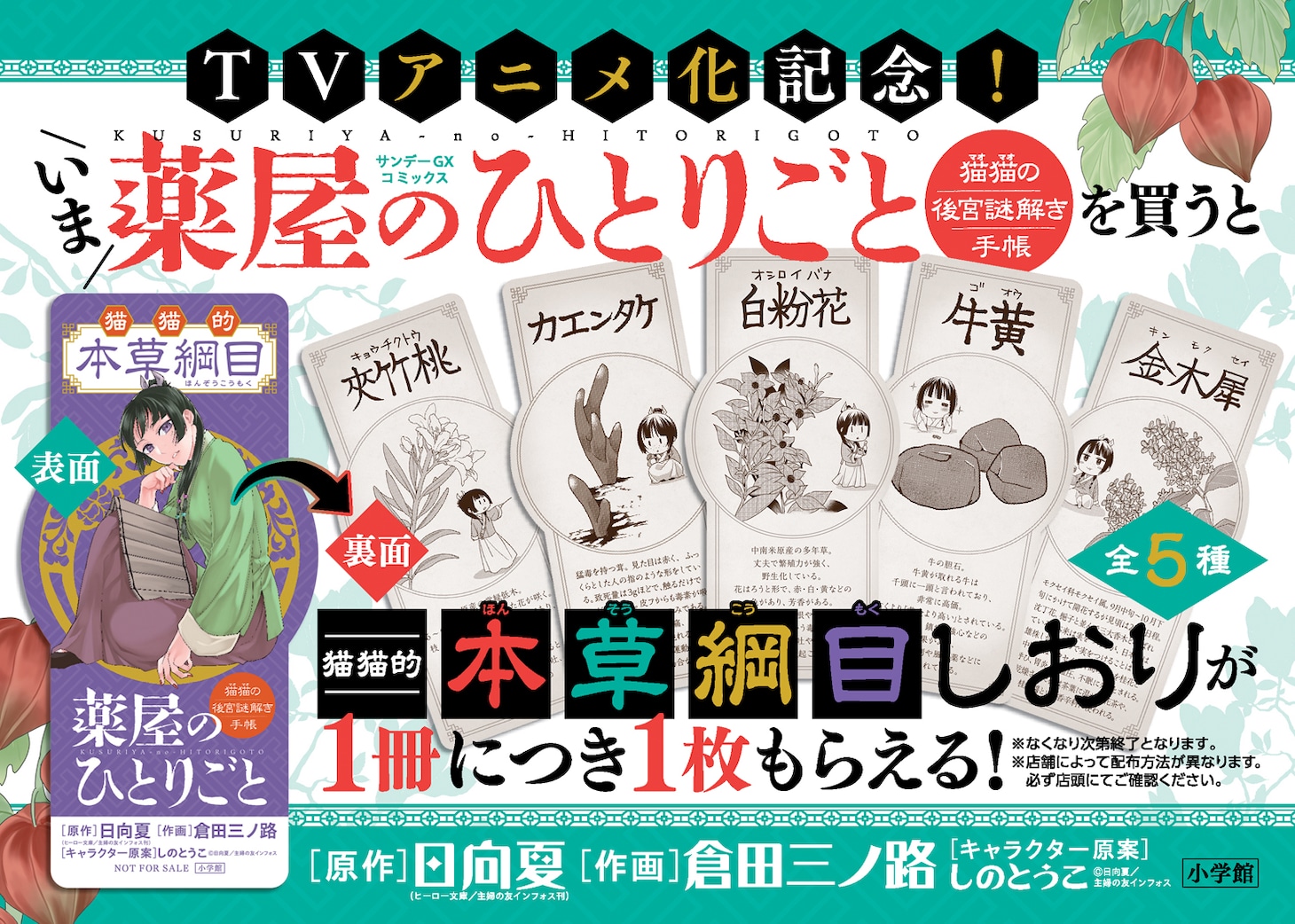 「猫猫的本草綱目しおり」がもらえるノベルティフェアの告知画像。