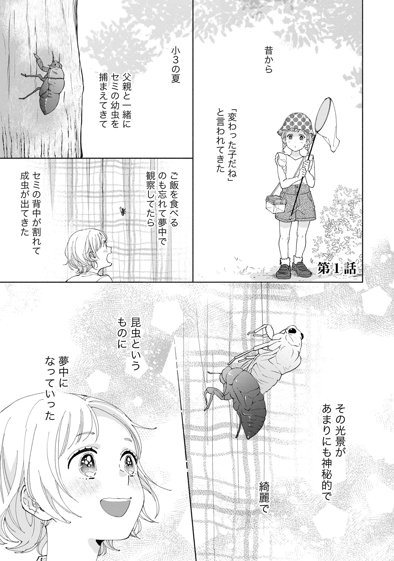 「ホタルの恋と罪」より。