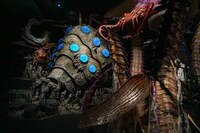 「王蟲の世界」 漫画『風の谷のナウシカ』 宮﨑 駿　(c)Studio Ghibli