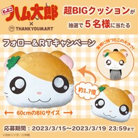 ビッグクッションプレゼント告知
