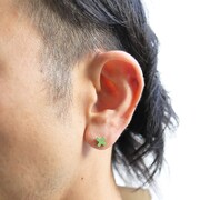 「フレンドシップピアス ゾロ」使用イメージ