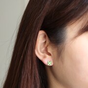 「フレンドシップピアス ゾロ」使用イメージ