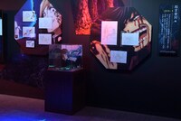 「アニメーション 呪術廻戦展『劇場版 呪術廻戦 0』編」の様子。