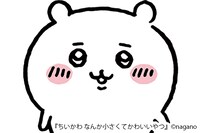 「ちいかわ なんか小さくてかわいいやつ」のちいかわ。