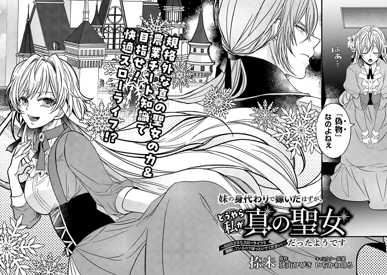 妹の身代わりで嫁いだはずが、どうやら私が真の聖女だったようです