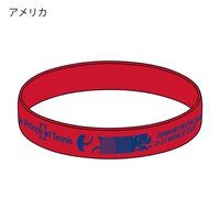 アメリカのシリコンバンド。