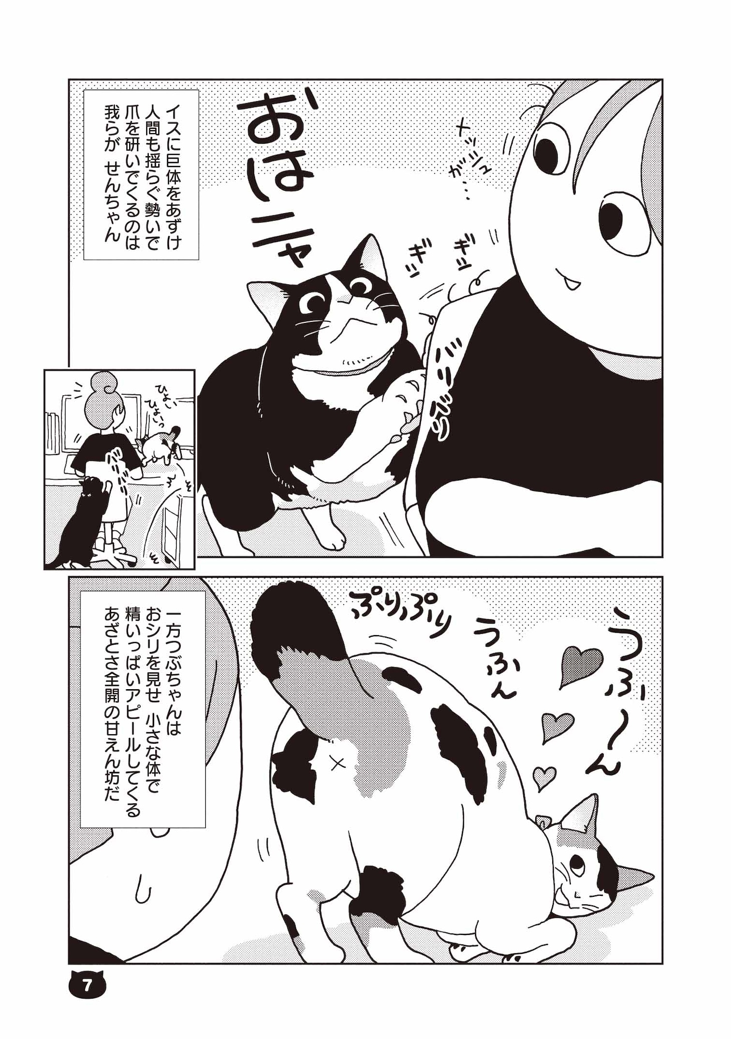 「ひっつきもっつき ねこもぐれ」より。