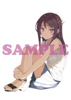 ANIPLEX+の店舗別特典「選べるキャラファインマット」と、アニメイトの店舗別特典「B2タペストリー＆スタンド付きアクリルコースター＆2L判ブロマイド6枚セット」の絵柄。