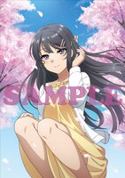 アニメイトの店舗別特典「B2 タペストリー＆スタンド付きアクリルコースター＆2L判ブロマイド6枚セット」の絵柄。