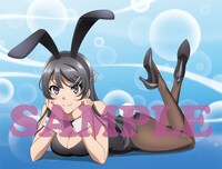 Getchu.com（げっちゅ屋）の店舗別特典「A3 クリアポスター」の絵柄。