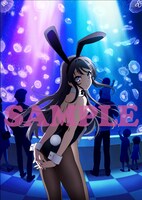 ソフマップの店舗別特典「アクリルジオラマ+アクリルスタンド」の絵柄。