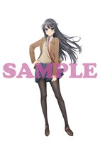 ソフマップの店舗別特典「アクリルジオラマ+アクリルスタンド」の絵柄。