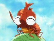 「甲虫王者ムシキング～森の民の伝説～」より。 (c)ムシキングプロジェクト