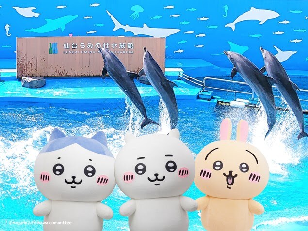 ちいかわ水族館 in 仙台うみの杜水族館」イメージ - コラボ企画