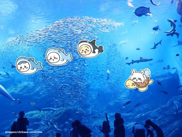 「ちいかわ水族館 in 仙台うみの杜水族館」イメージ
