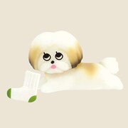 「ペタン お気に入りの『くつした』」
モコゾウ(リアル) おうちで使っている「あかいクッション」