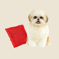 「モコゾウ（リアル） おうちで使っている『あかいクッション』」