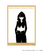 「GRIDMAN UNIVERSE BLACK COLLECTION by ZOZOTOWN アクリルスタンド・アクリルカードセット」