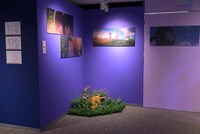 新海誠監督作品「すずめの戸締まり」展の様子。