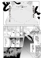 「ブサ猫に変えられた気弱令嬢ですが、最恐の軍人公爵に拾われて気絶寸前です」より。