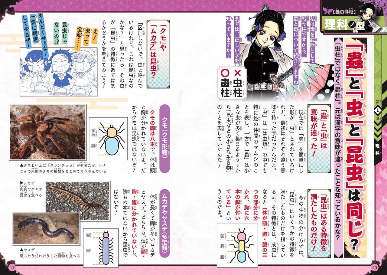 キメツ学園 全集中ドリル 全9巻セット 鬼滅の刃 キメツ学園! 全集 キメツ学園 全集中ドリル 全9巻セット 鬼滅の刃 キメツ学園! 全集