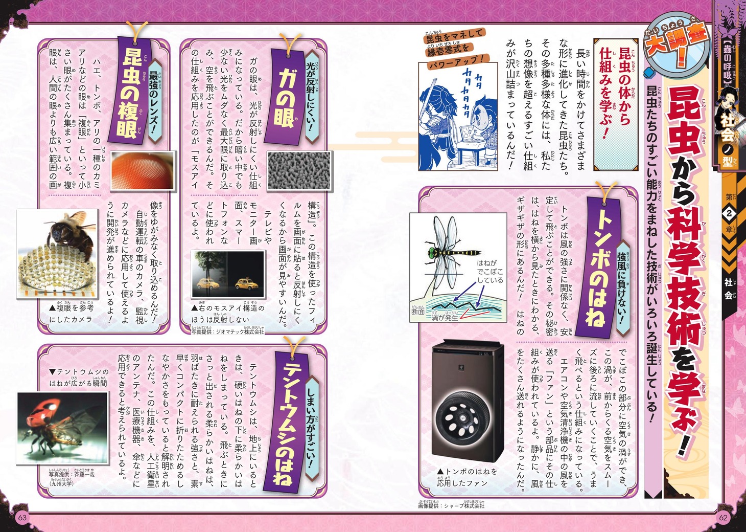 「鬼滅の刃 キメツ学園！全集中ドリル 蟲の呼吸編」より。 (c)吾峠呼世晴・帆上夏希/集英社