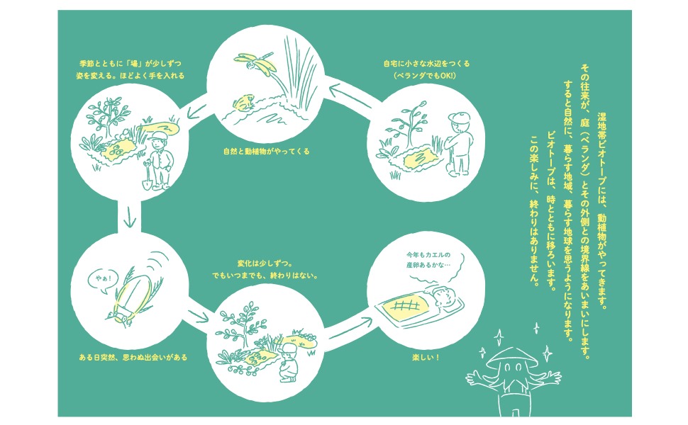 「自宅で湿地帯ビオトープ！ 生物多様性を守る水辺づくり」より。