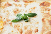 「風の谷のラザニア 新芽の息吹」