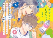 「カラー・コレクション」POP