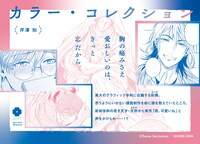 「カラー・コレクション」POP