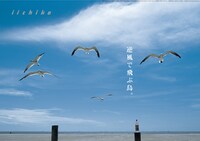 ポスター「逆風で飛ぶ鳥。」