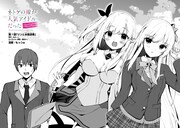 「ネトゲの嫁が人気アイドルだった ～クール系の彼女は現実でも嫁のつもりでいる～」より。