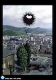 TVアニメ「惡の華」キービジュアル (c)押見修造・講談社/「惡の華」製作委員会